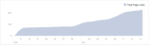 Graph of increase in total page likes
