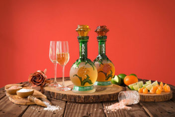 Baston de Rey tequila bottles displayed with salt and wine glasses