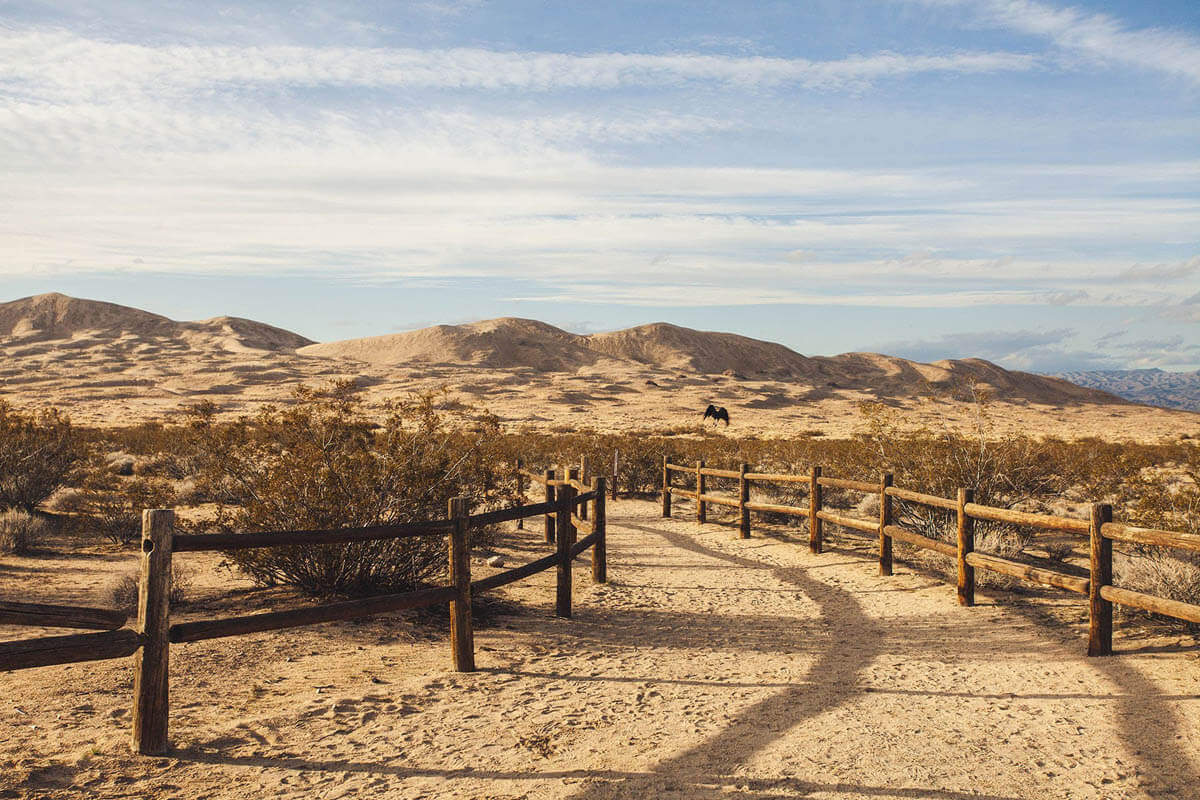 Desert landscape with wood fence